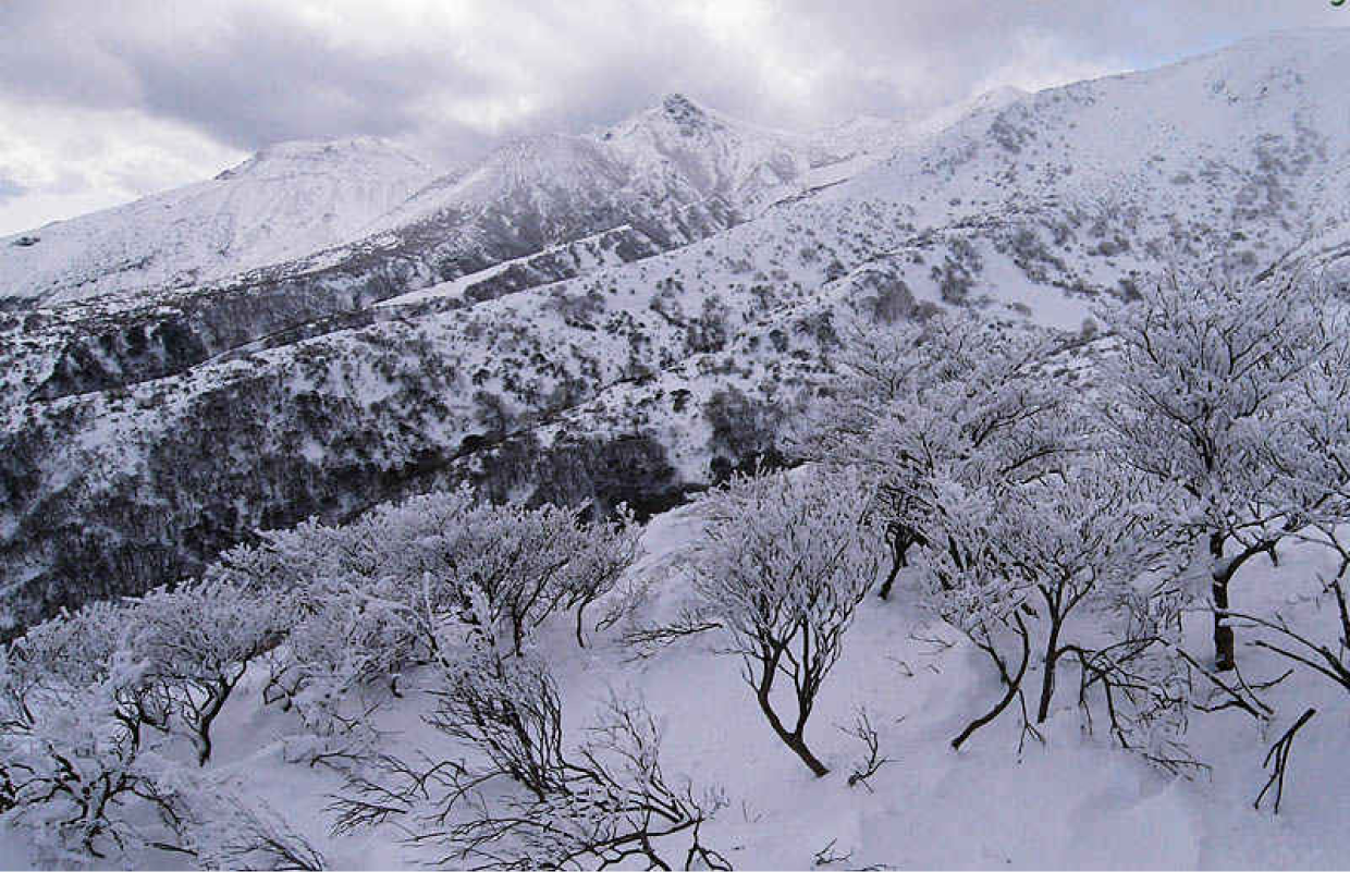 Rajgarh, Himachal Pradesh